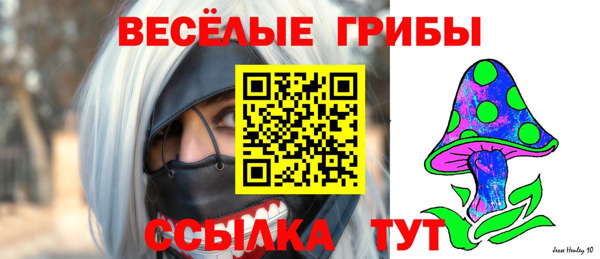 Галлюциногенные грибы Cubensis Казань