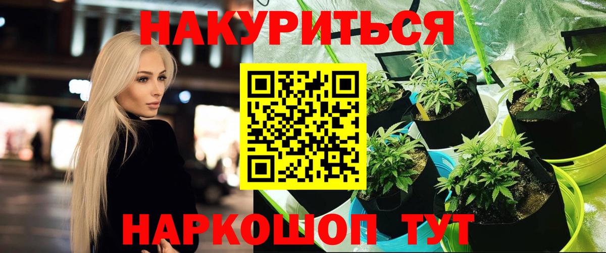Казань  Марихуана план  Марихуана ГИДРОПОН  Вход с VPN 